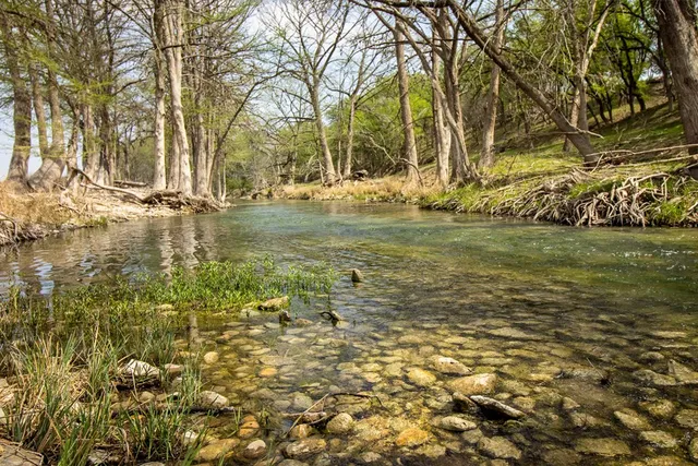 a view of yard with tree