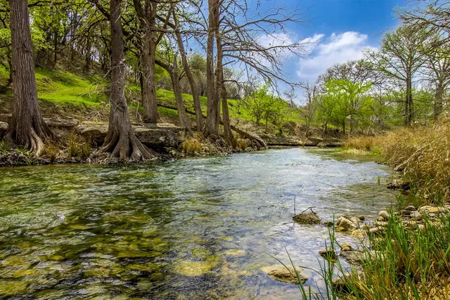 a view of a yard with a tree