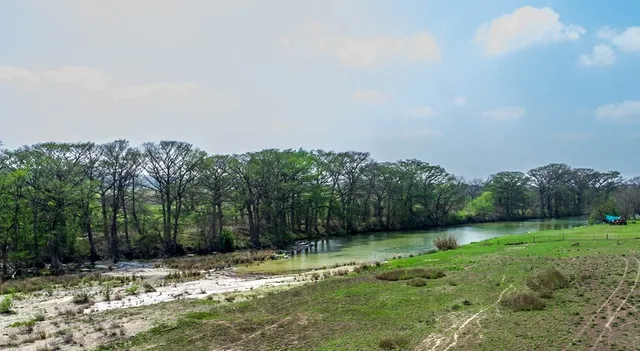 a backyard of a house with lots of green space