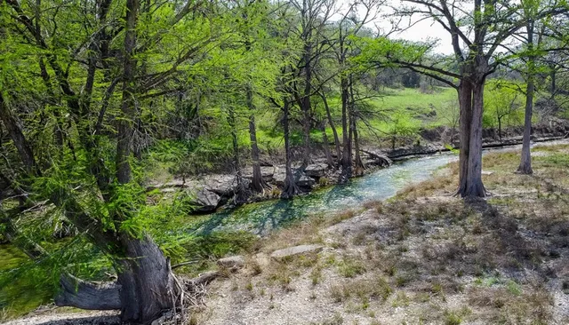 a backyard of a house with lots of green space