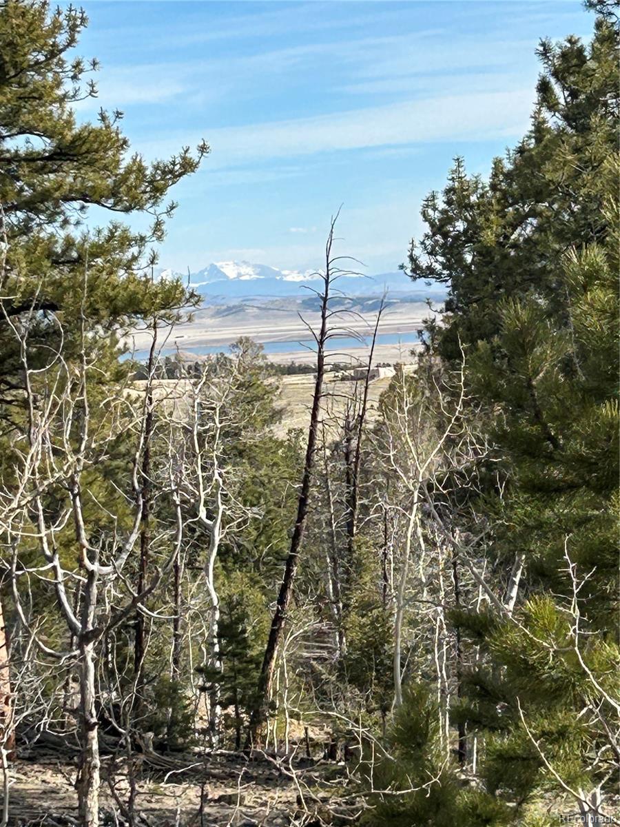 1506 Bellows Road Hartsel, CO 80449 - Photo 5 of 13