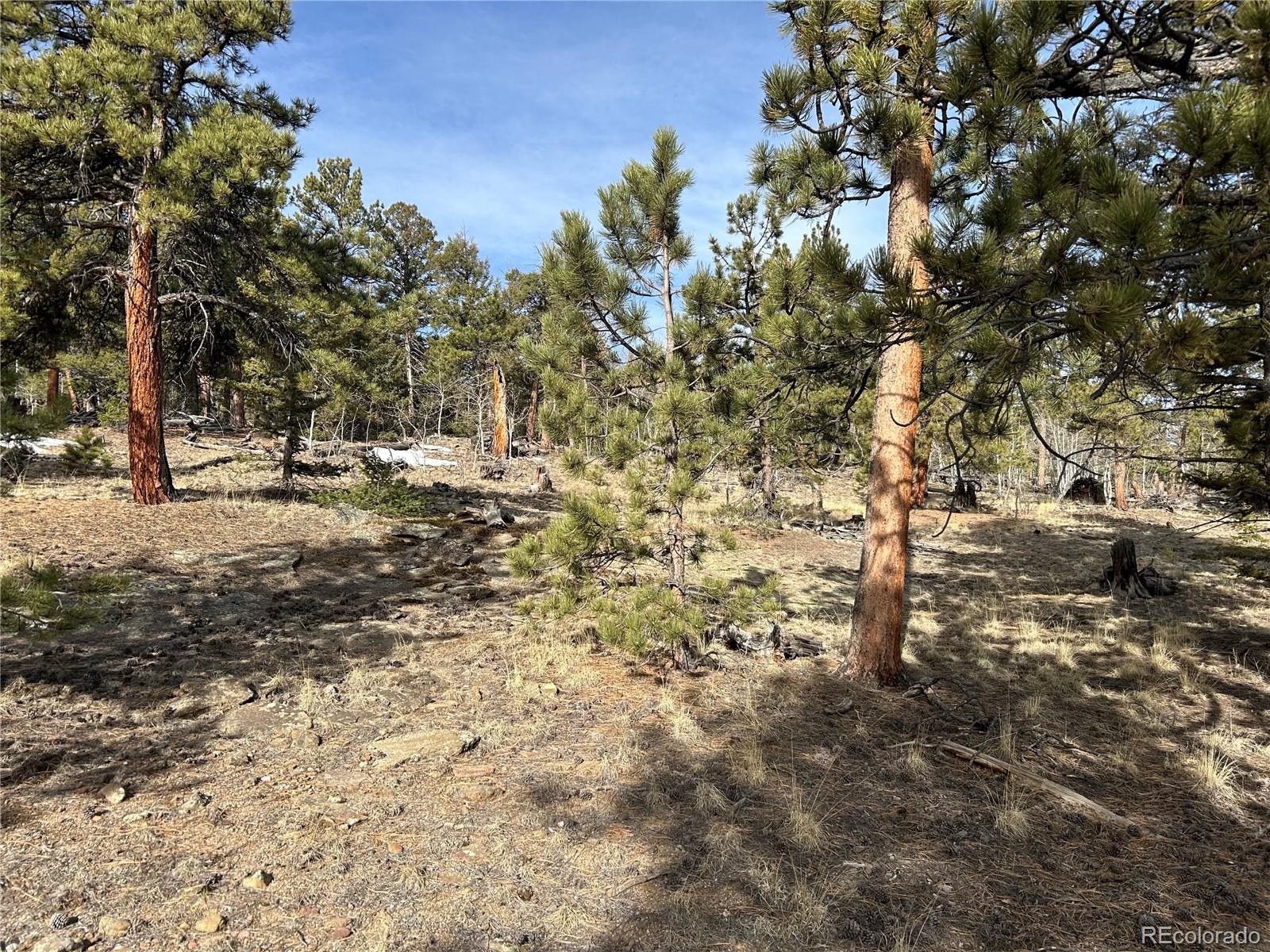1506 Bellows Road Hartsel, CO 80449 - Photo 7 of 13