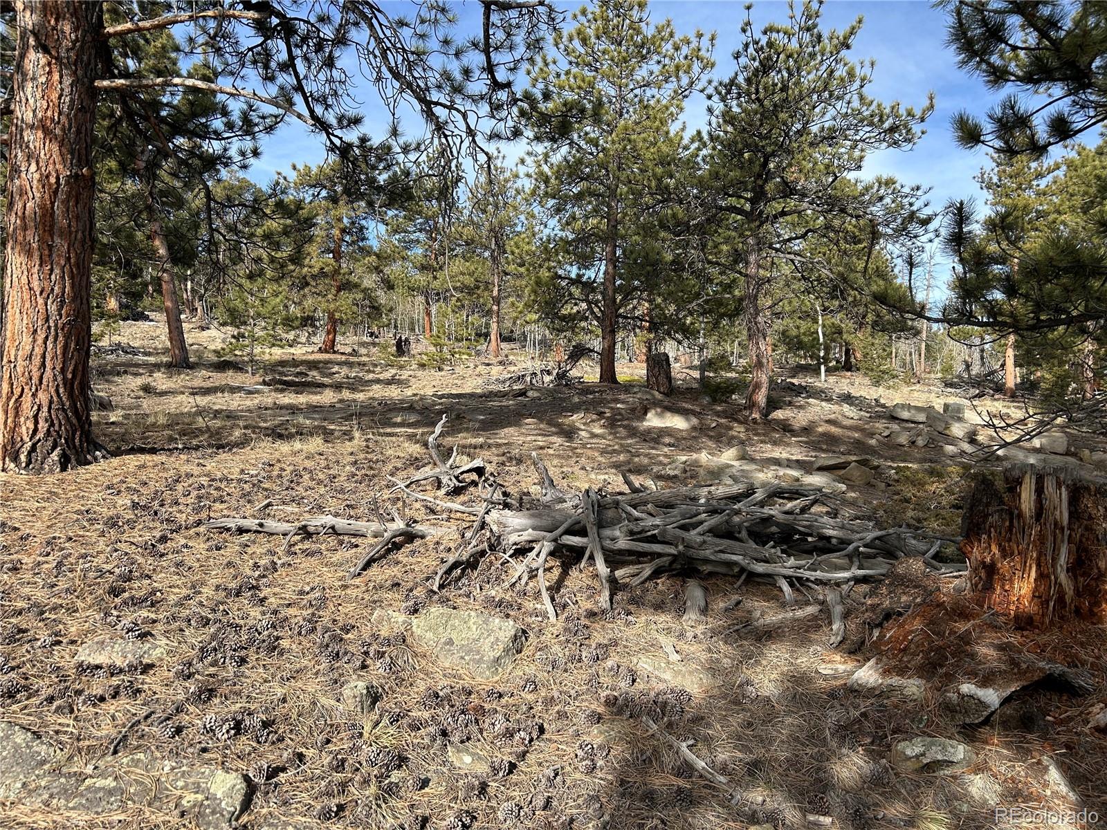 1506 Bellows Road Hartsel, CO 80449 - Photo 8 of 13