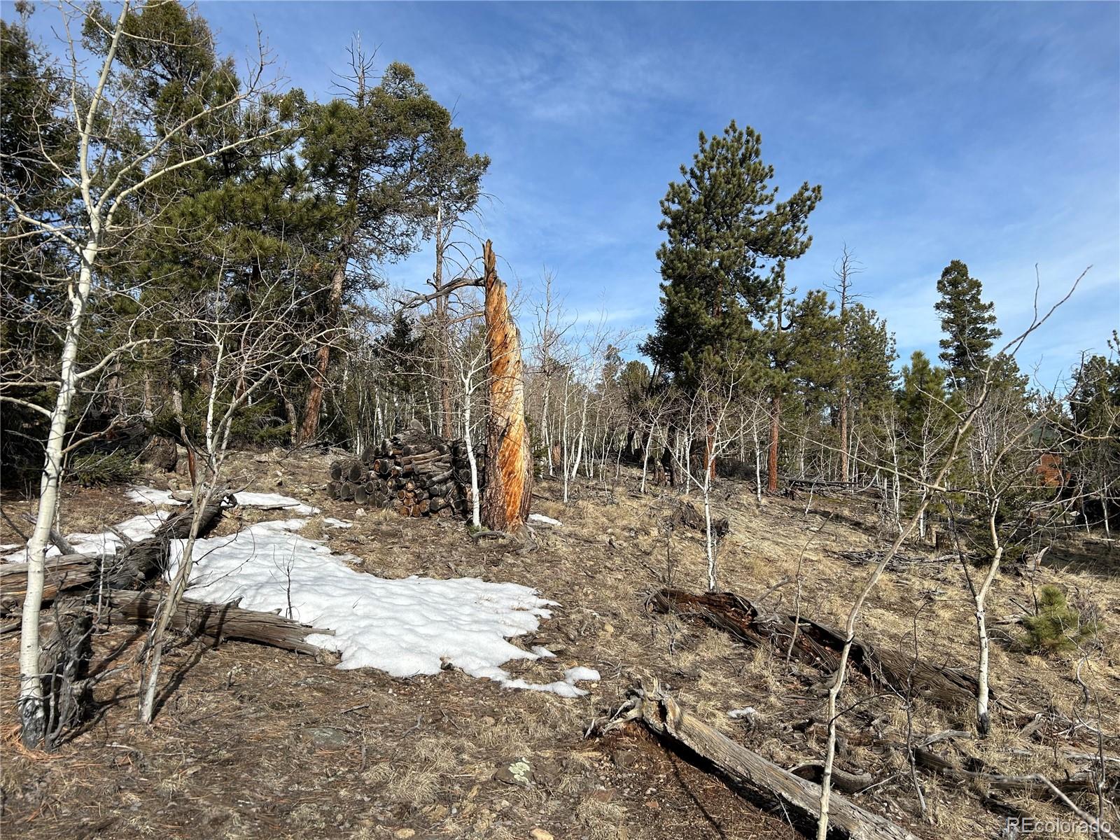 1506 Bellows Road Hartsel, CO 80449 - Photo 10 of 13