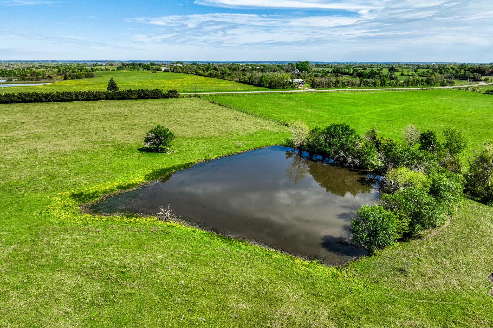 20751 Fm 1155 Street East Washington, TX 77880 - Photo 28 of 49 a view of a garden with an ocean