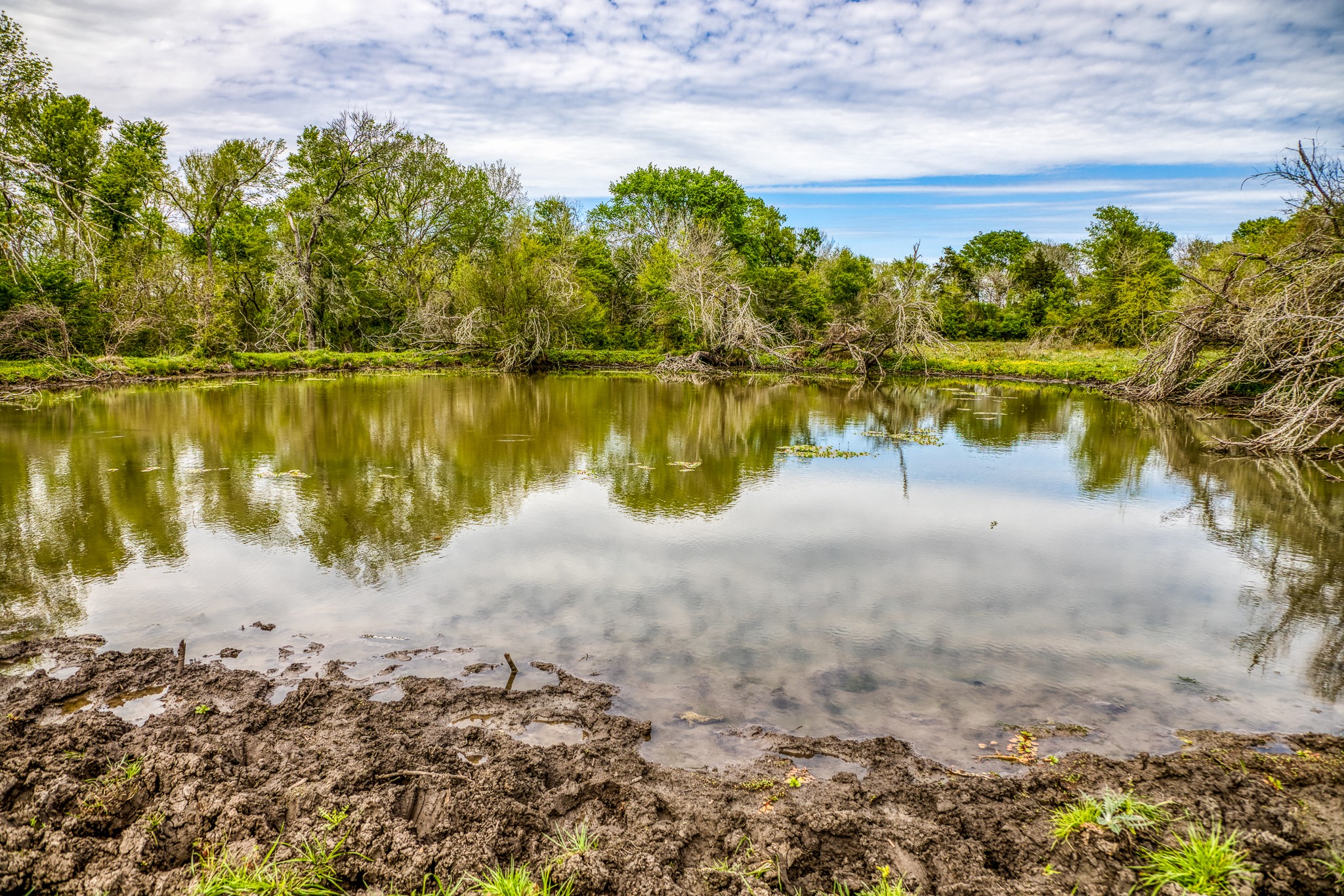 20751 Fm 1155 Street East Washington, TX 77880 - Photo 31 of 49