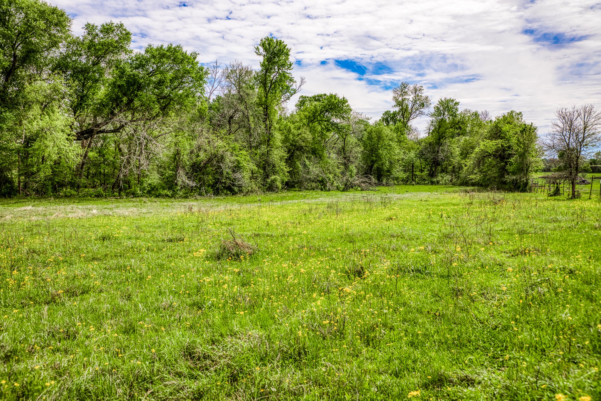 20751 Fm 1155 Street East Washington, TX 77880 - Photo 35 of 49 a view of field with trees in the background