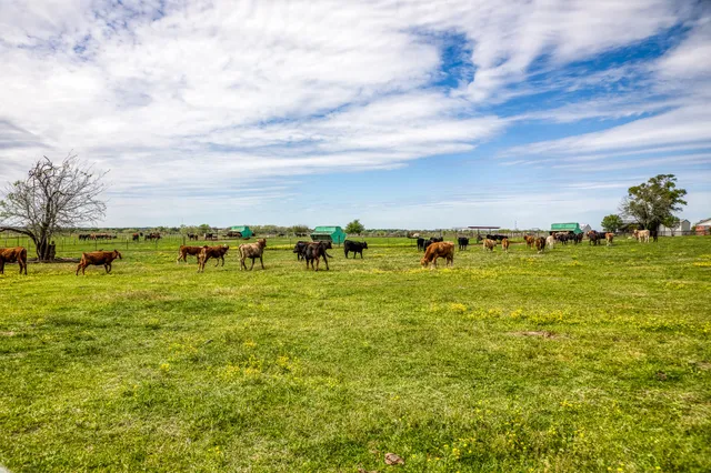 a view of a yard with wooden fence