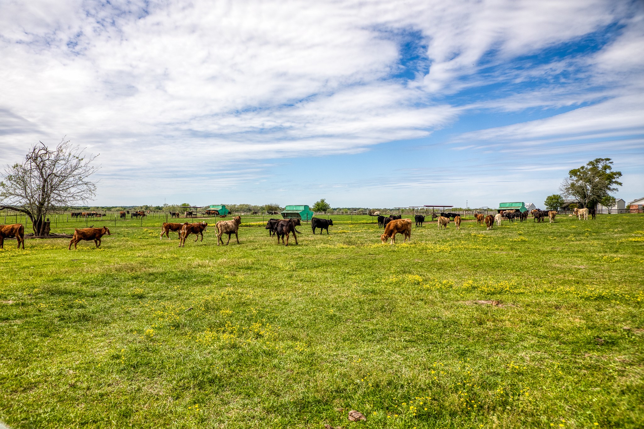 20751 Fm 1155 Street East Washington, TX 77880 - Photo 36 of 49 a view of a field with an outdoor seating