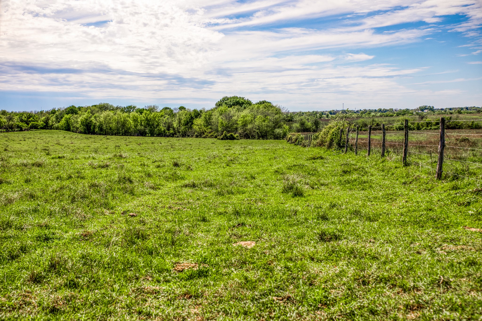 20751 Fm 1155 Street East Washington, TX 77880 - Photo 38 of 49 a view of a green field with lots of palm trees