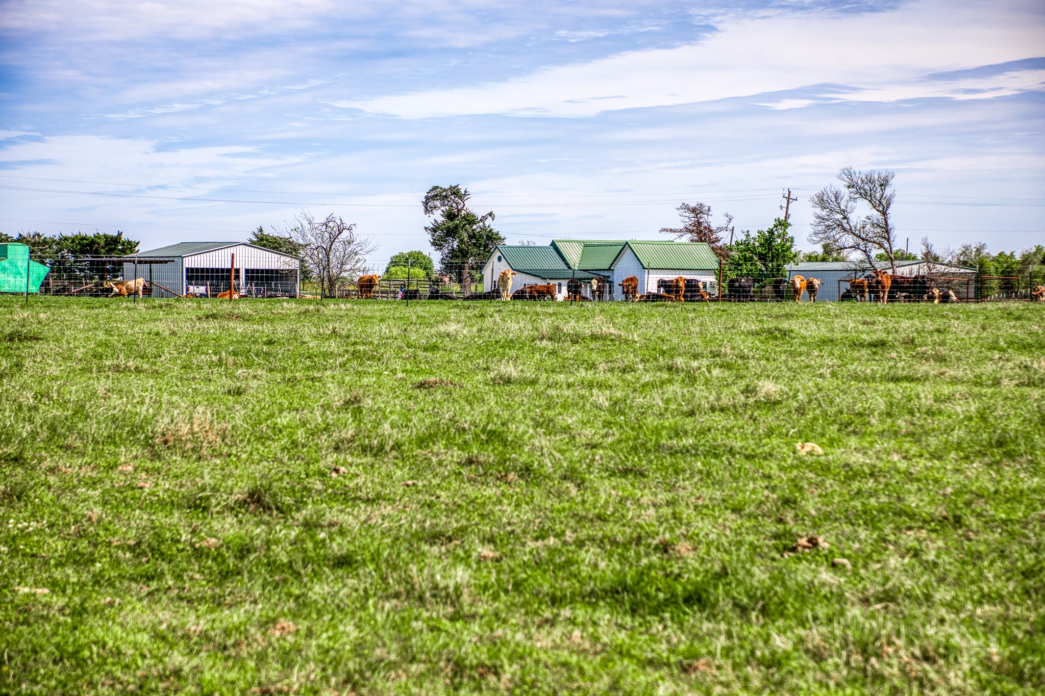 20751 Fm 1155 Street East Washington, TX 77880 - Photo 39 of 49 a view of a garden with houses