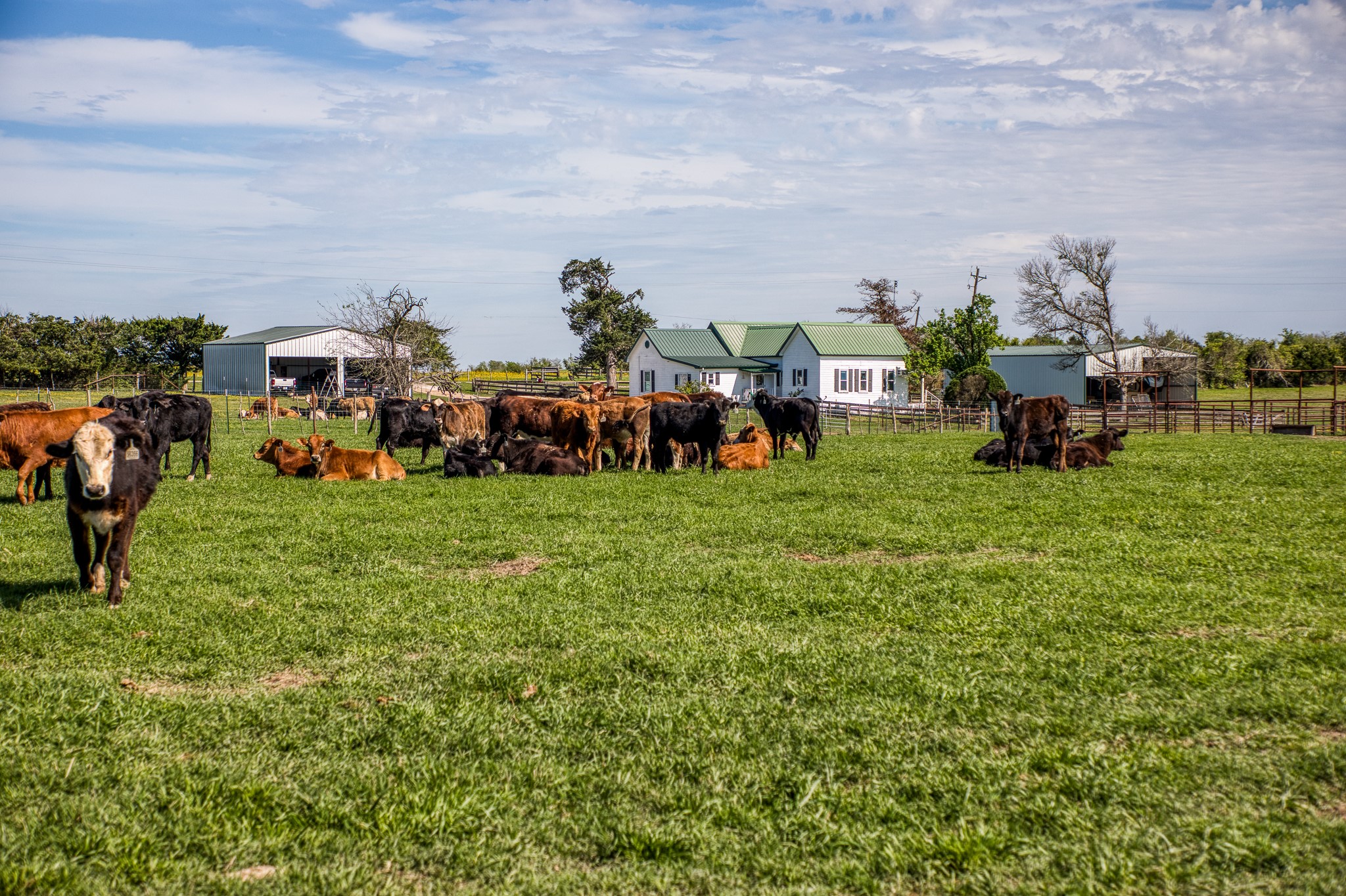 20751 Fm 1155 Street East Washington, TX 77880 - Photo 40 of 49 a view of a park with lots of swings and slides