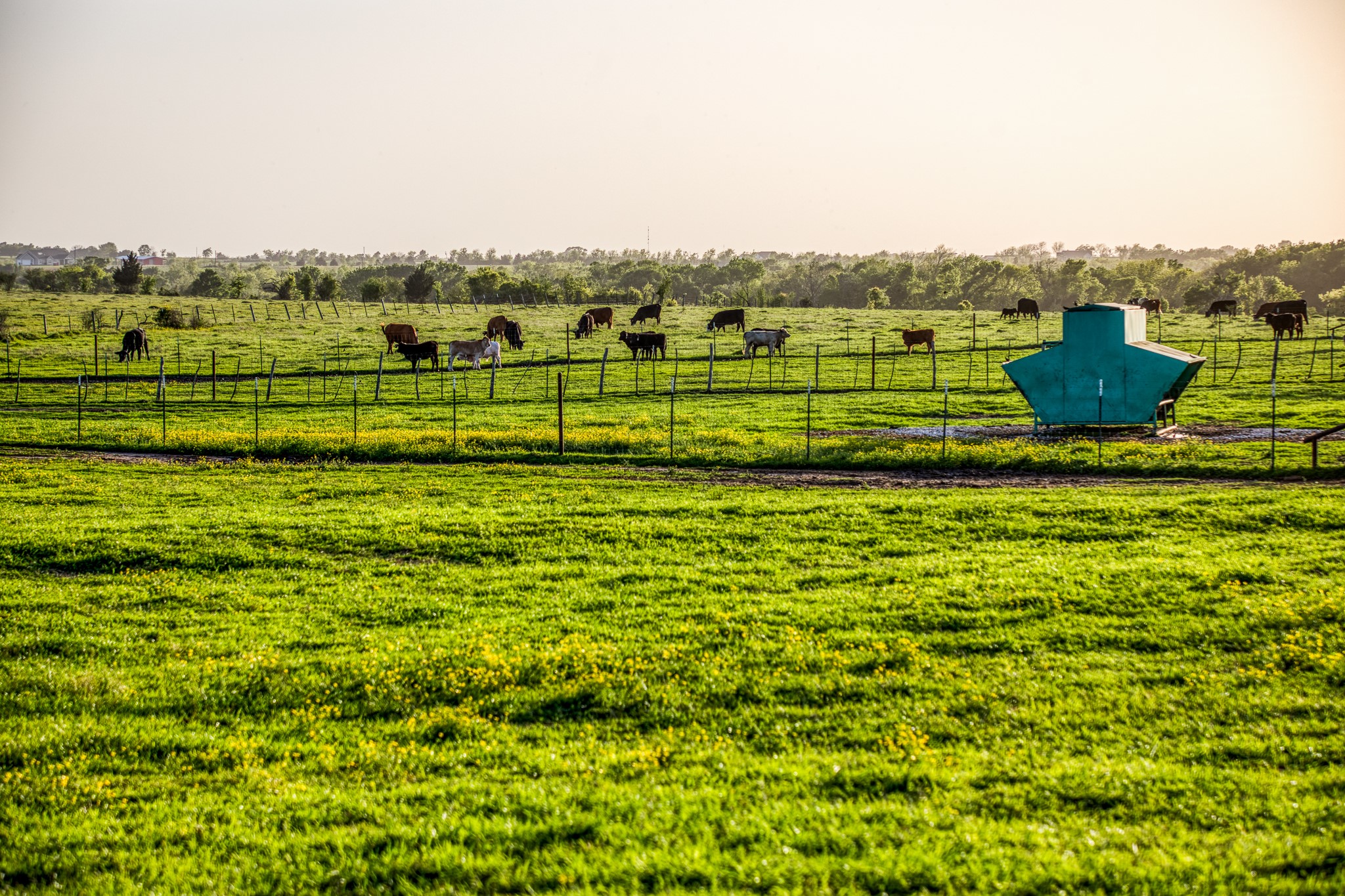 20751 Fm 1155 Street East Washington, TX 77880 - Photo 41 of 49 a view of a green field
