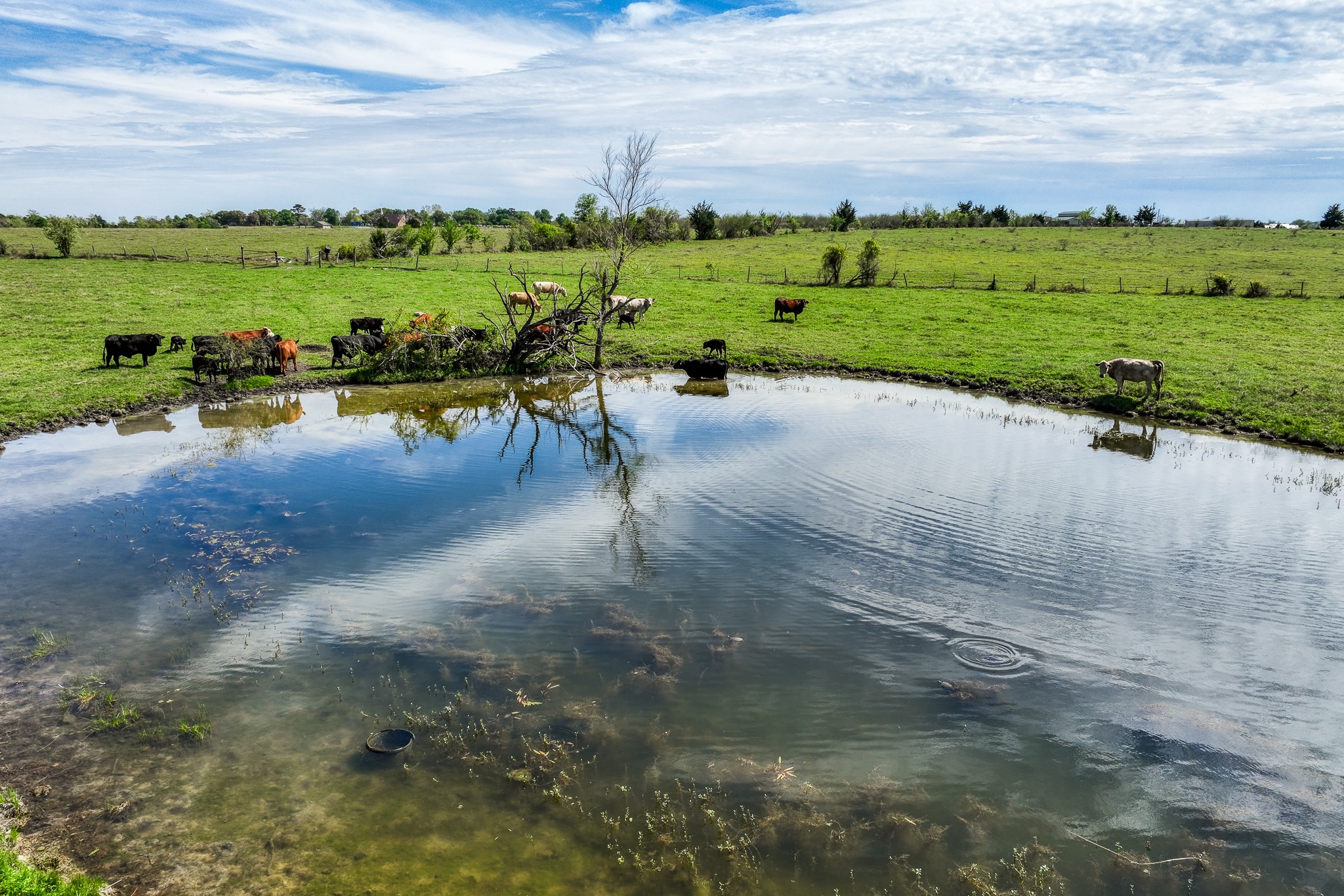 20751 Fm 1155 Street East Washington, TX 77880 - Photo 42 of 49 a view of a lake with outdoor space