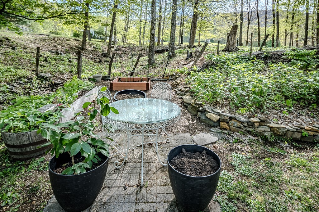 460 Harley Perry Road Zionville, NC 28698 - Photo 37 of 45