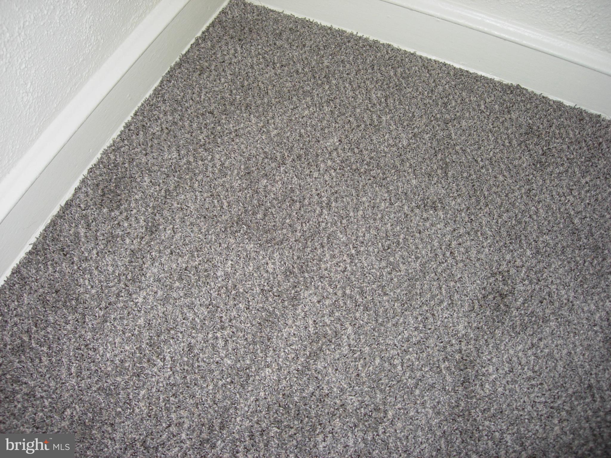 sample of the new carpeting throughout the home