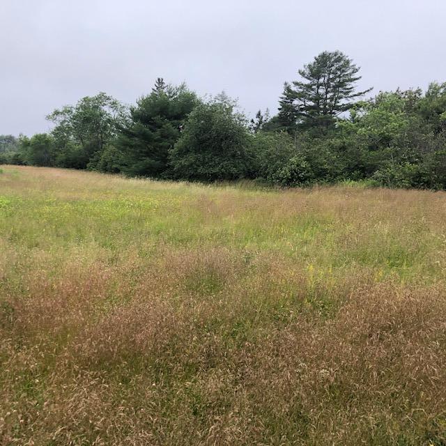 54 Reynolds Road Brooksville, ME 04617 - Photo 10 of 14 IMG_2997