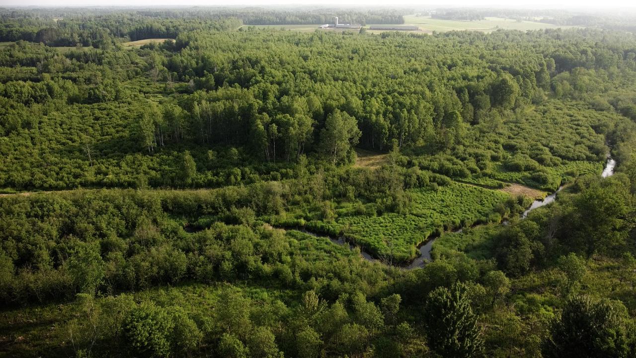 W7043 Lane Rd Road Phillips, WI 54555 - Photo 3 of 43 Gallery Image 3