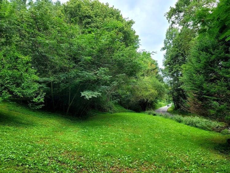 1869 Tellico Reliance Road Reliance, TN 37369 - Photo 25 of 28 Gallery Image 25