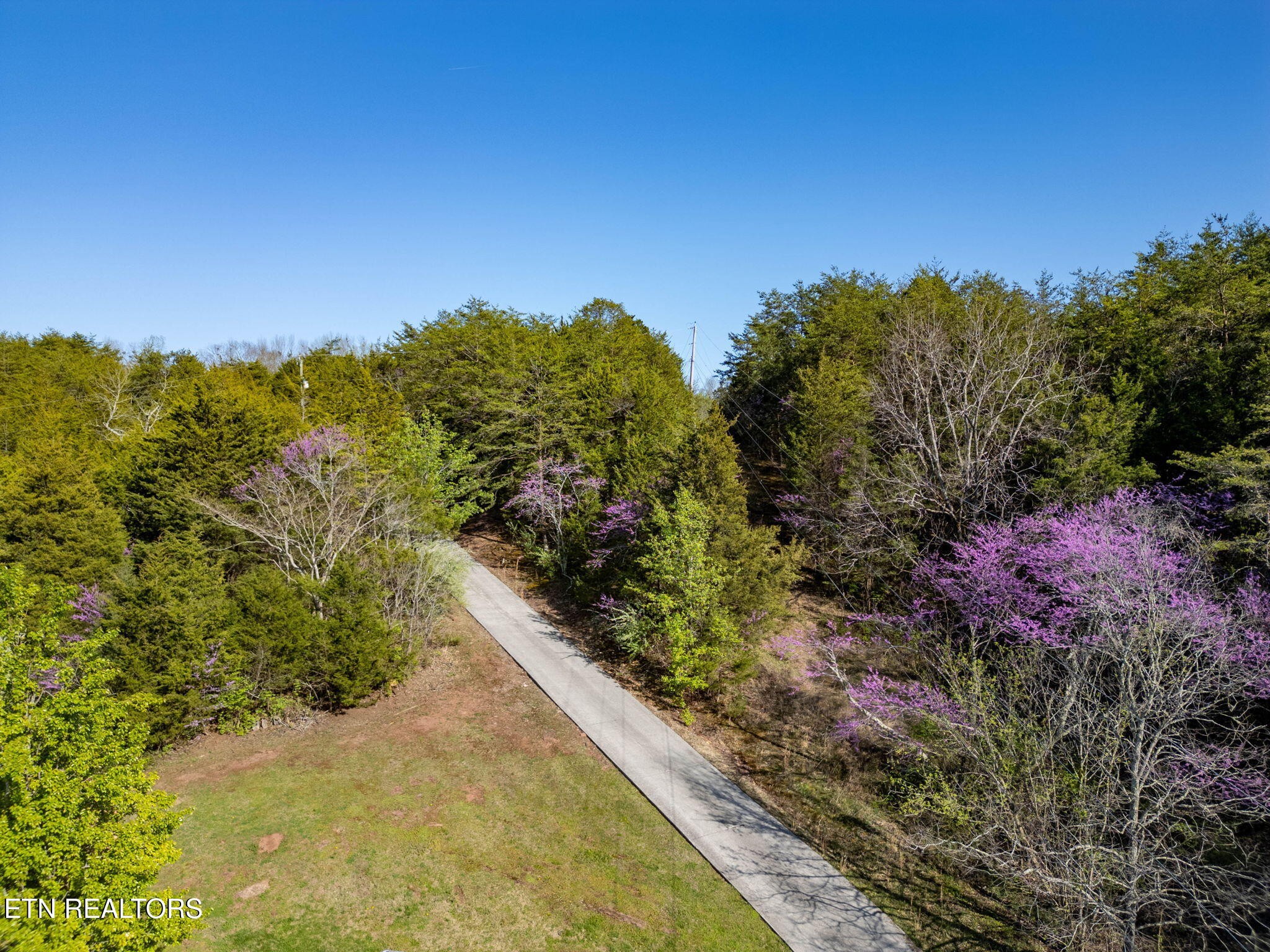 802 Deaderick Road Knoxville, TN 37920 - Photo 41 of 50 Gallery Image 41