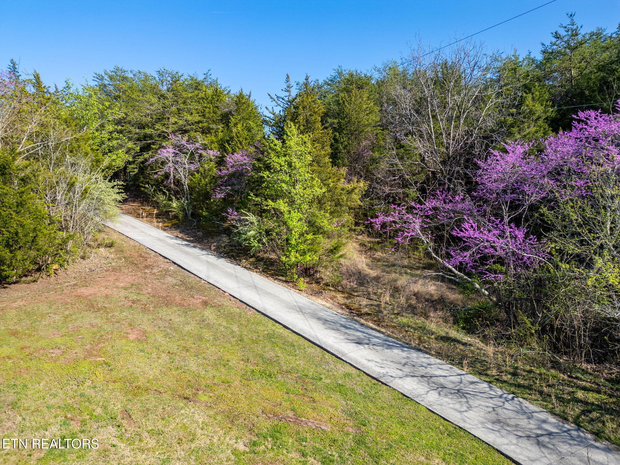 802 Deaderick Road Knoxville, TN 37920 - Photo 7 of 50 Gallery Image 7