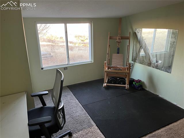 1475 North Curtis Road Colorado Springs, CO 80930 - Photo 5 of 13 View of carpeted office