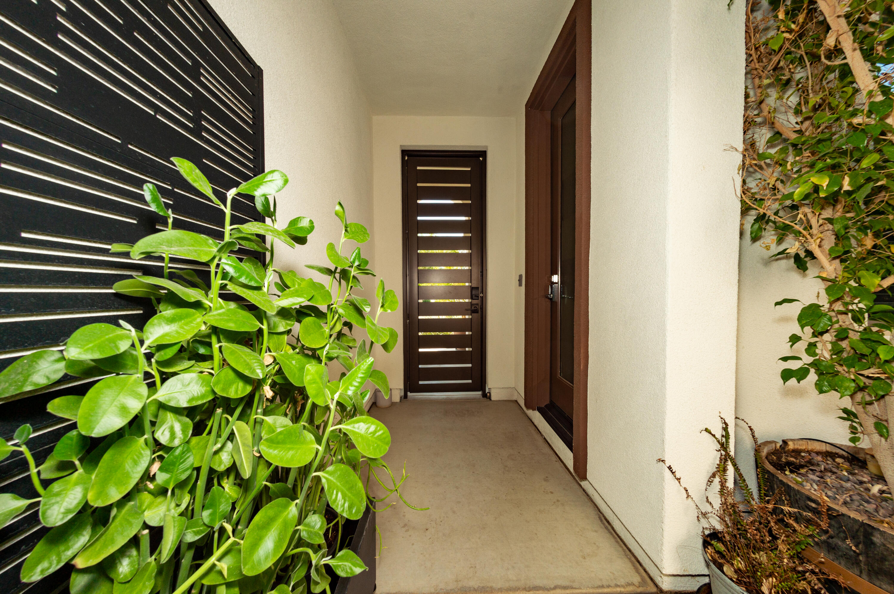 74500 Xander Court Palm Desert, CA 92211 - Photo 5 of 36 a view of a plant in front of a door
