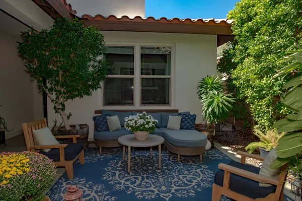 a living room with furniture and a potted plant