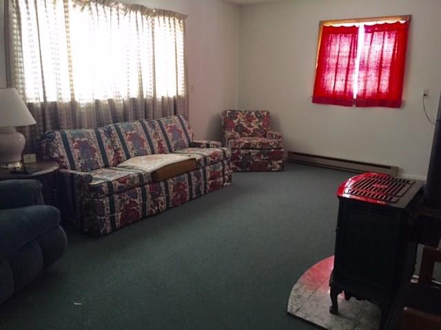 20 Sargent Avenue Stratton, ME 04982 - Photo 9 of 12 Lower floor living area with propane...