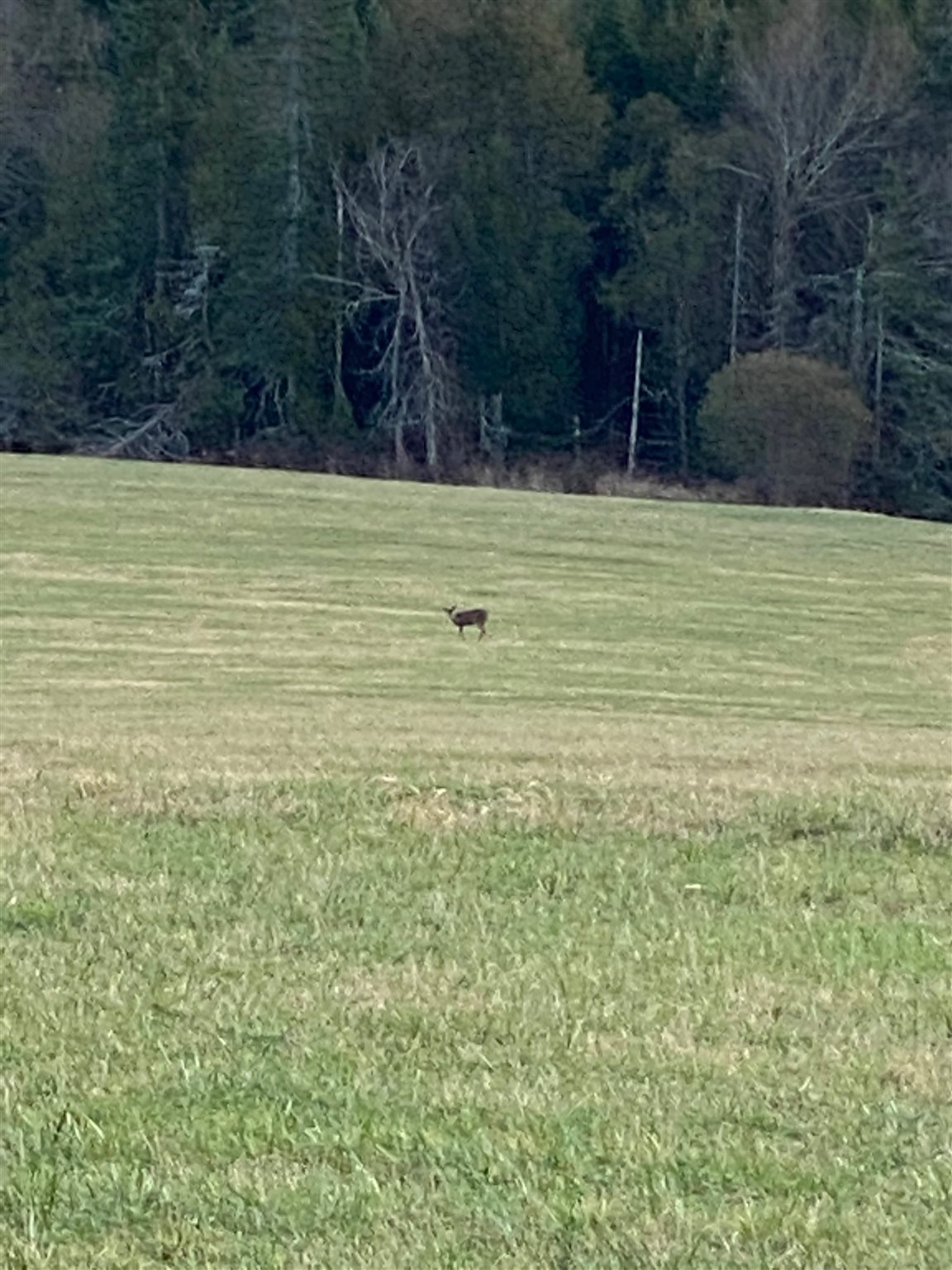 89 Lower Usle Road Barre Town, VT 05641 - Photo 30 of 31
