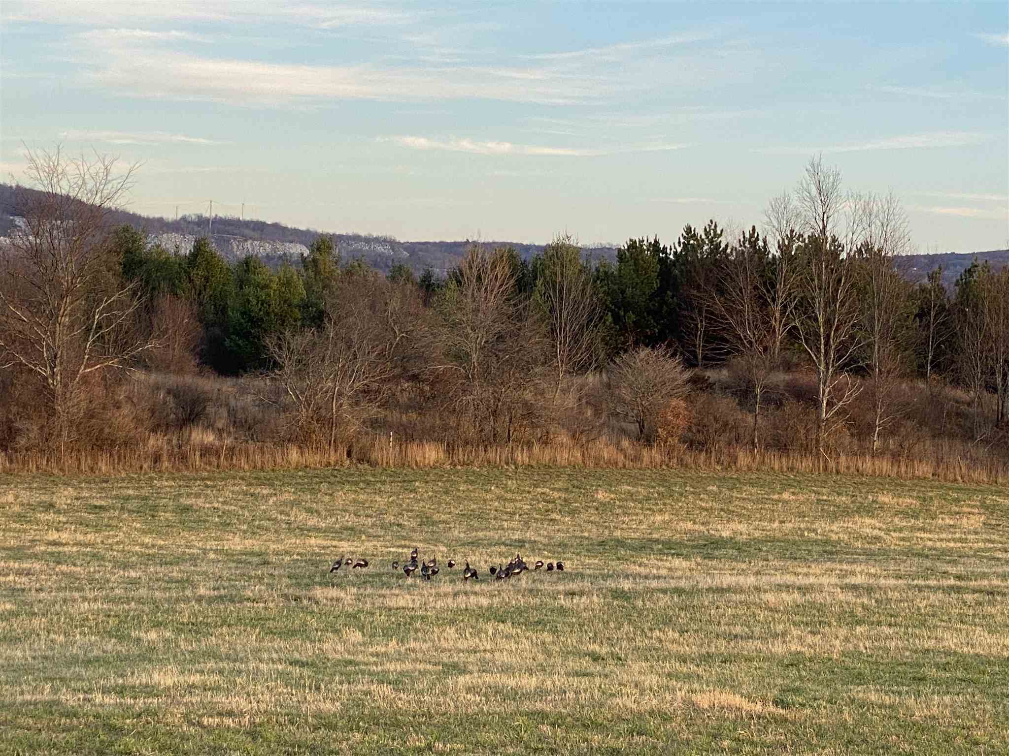 89 Lower Usle Road Barre Town, VT 05641 - Photo 31 of 31