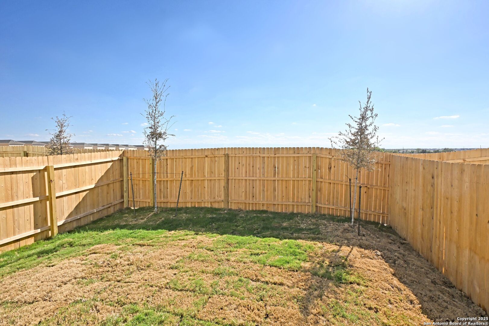 11806 Bluebell Ridge Converse, TX 78109 - Photo 9 of 20 Gallery Image 9