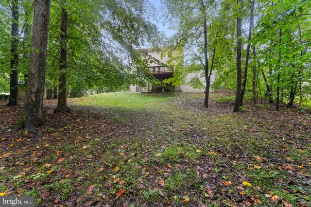 a view of a house with a small yard and a large tree