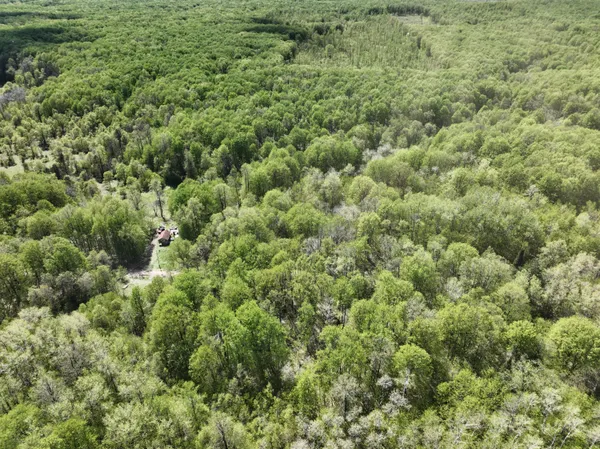 $59,800 | Vl North Partridge Lane, Mancelona, MI 49659