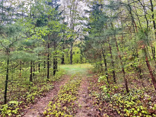 $59,800 | Vl North Partridge Lane, Mancelona, MI 49659