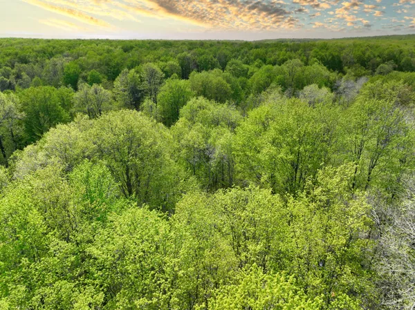 $59,800 | Vl North Partridge Lane, Mancelona, MI 49659