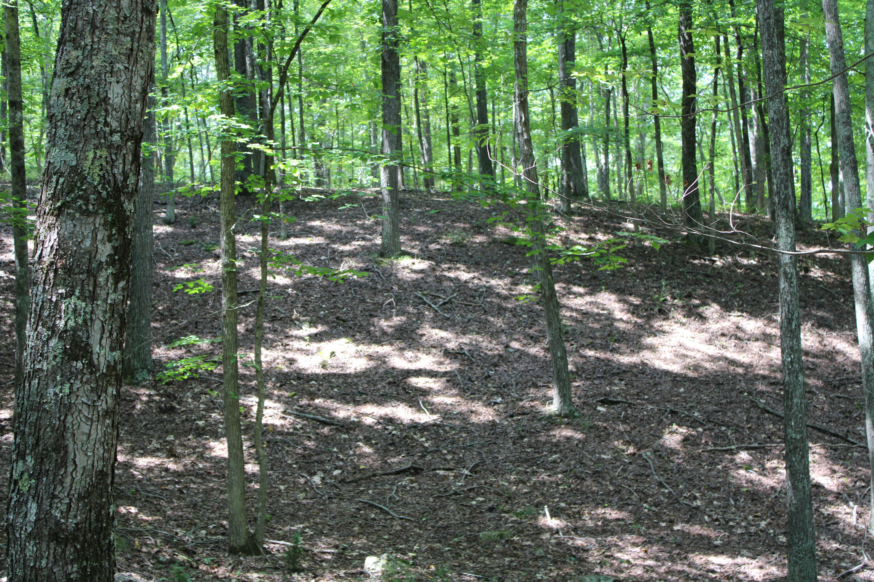 2816 Johns Creek Road New Castle, VA 24127 - Photo 39 of 96 IMG_0034