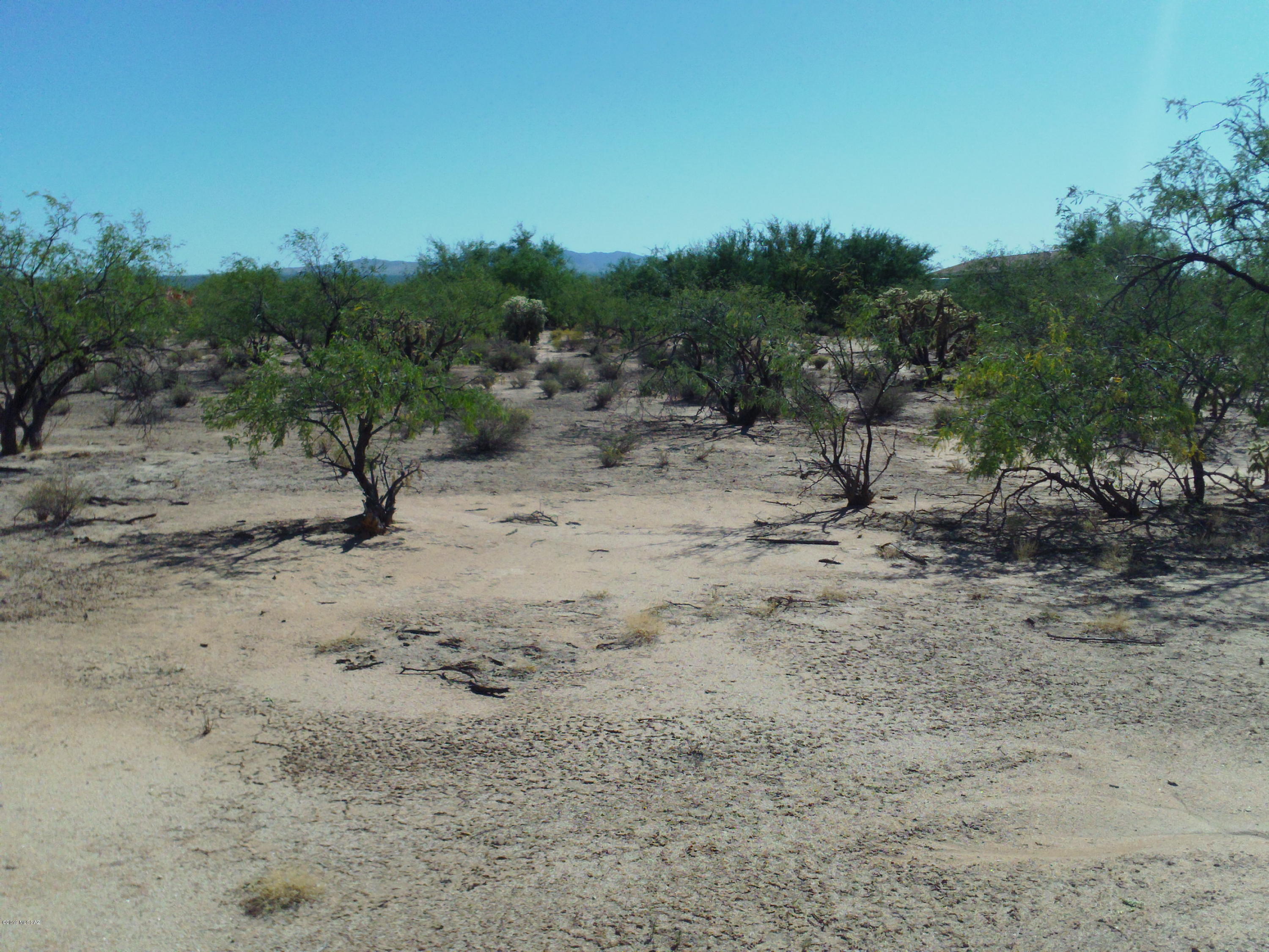 South Marstellar Road, Unit M Tucson, AZ 85736 - Photo 8 of 15 Gallery Image 8