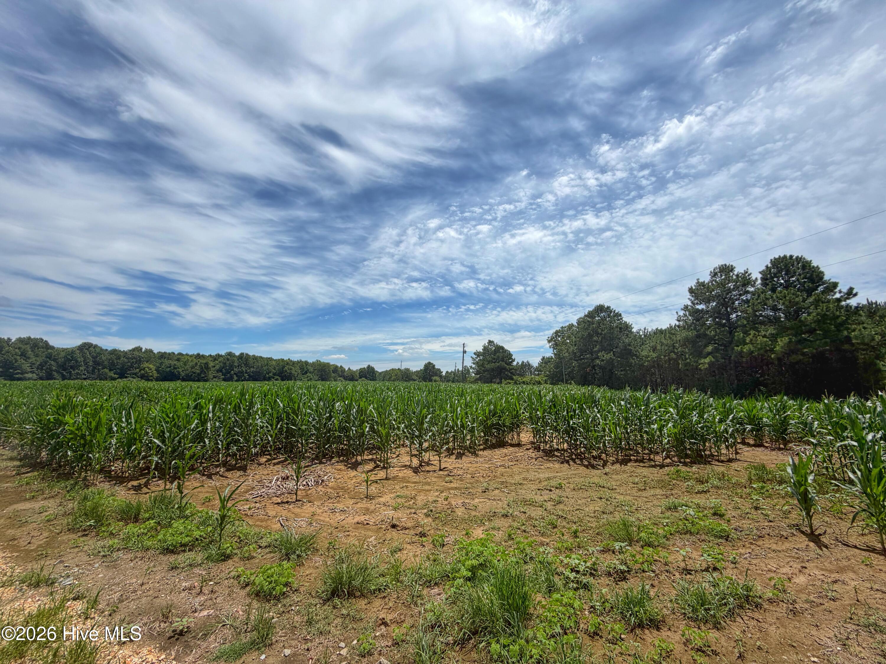 1 Titan Roberts Road Erwin, NC 28339 - Photo 13 of 23