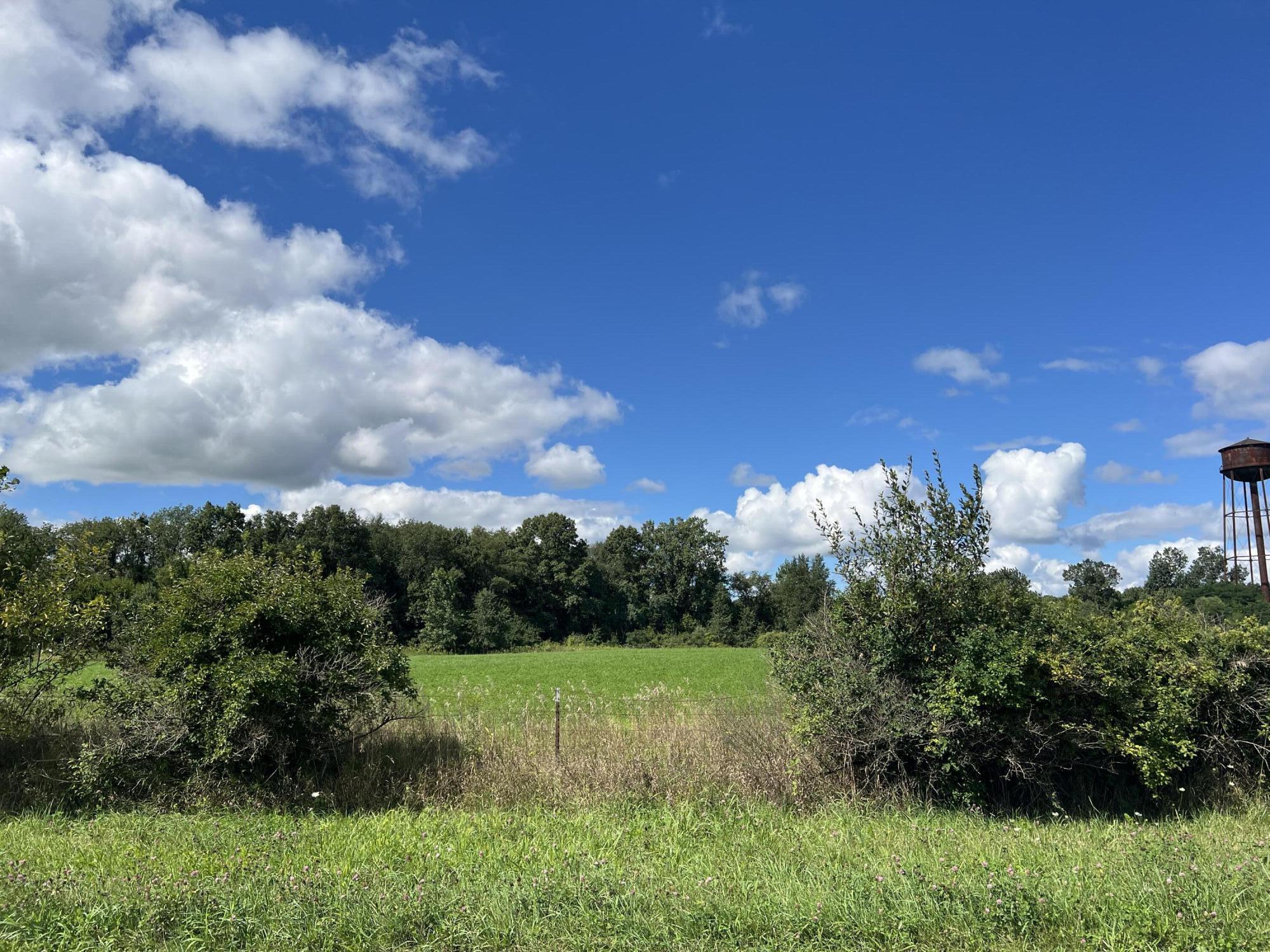 0 Central Road La Porte, IN 46350 - Photo 3 of 4 a view of a garden with plants and a bench