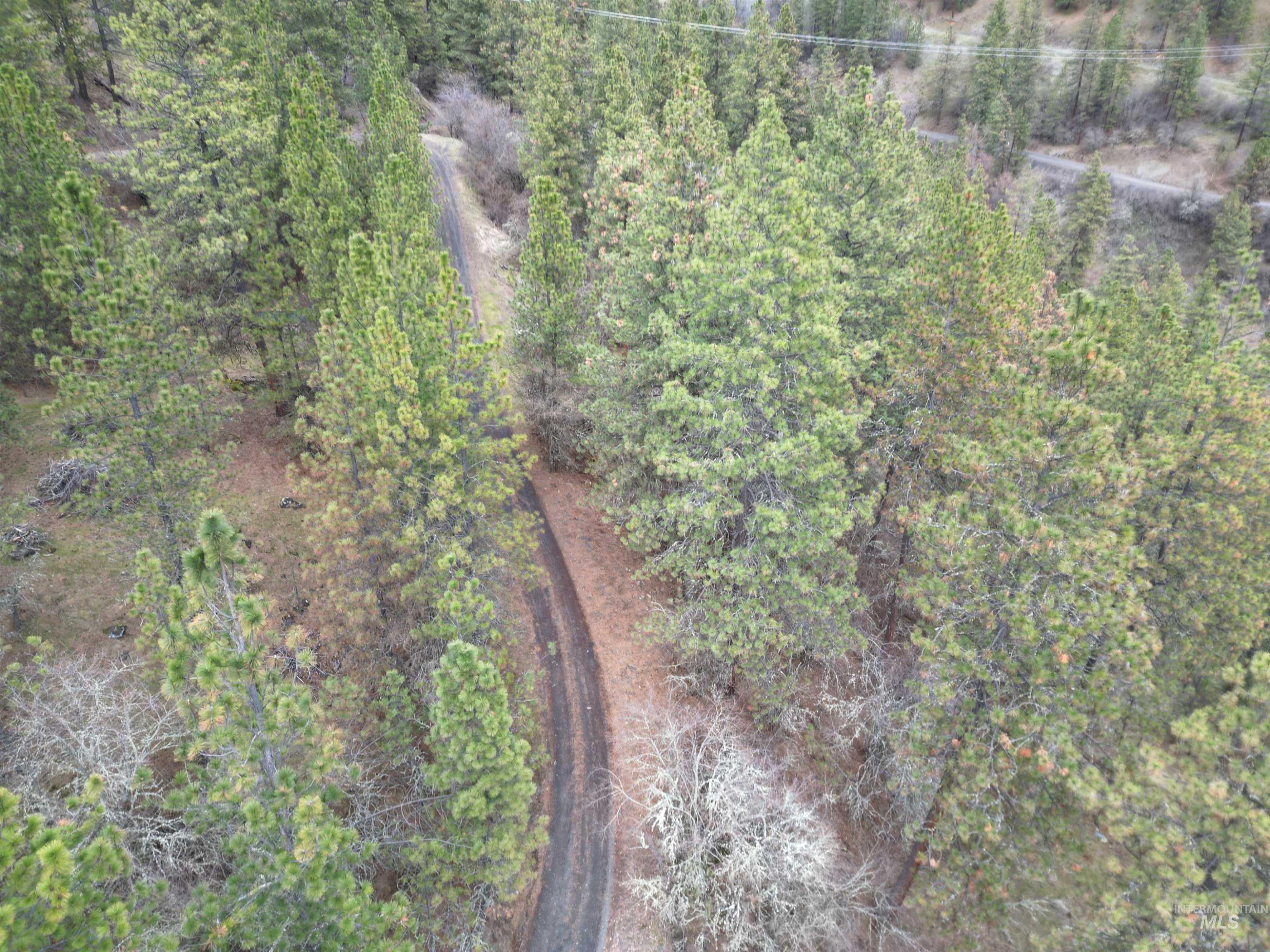 620 Old Peck Grade Lenore, ID 83541 - Photo 30 of 45 Bird's eye view