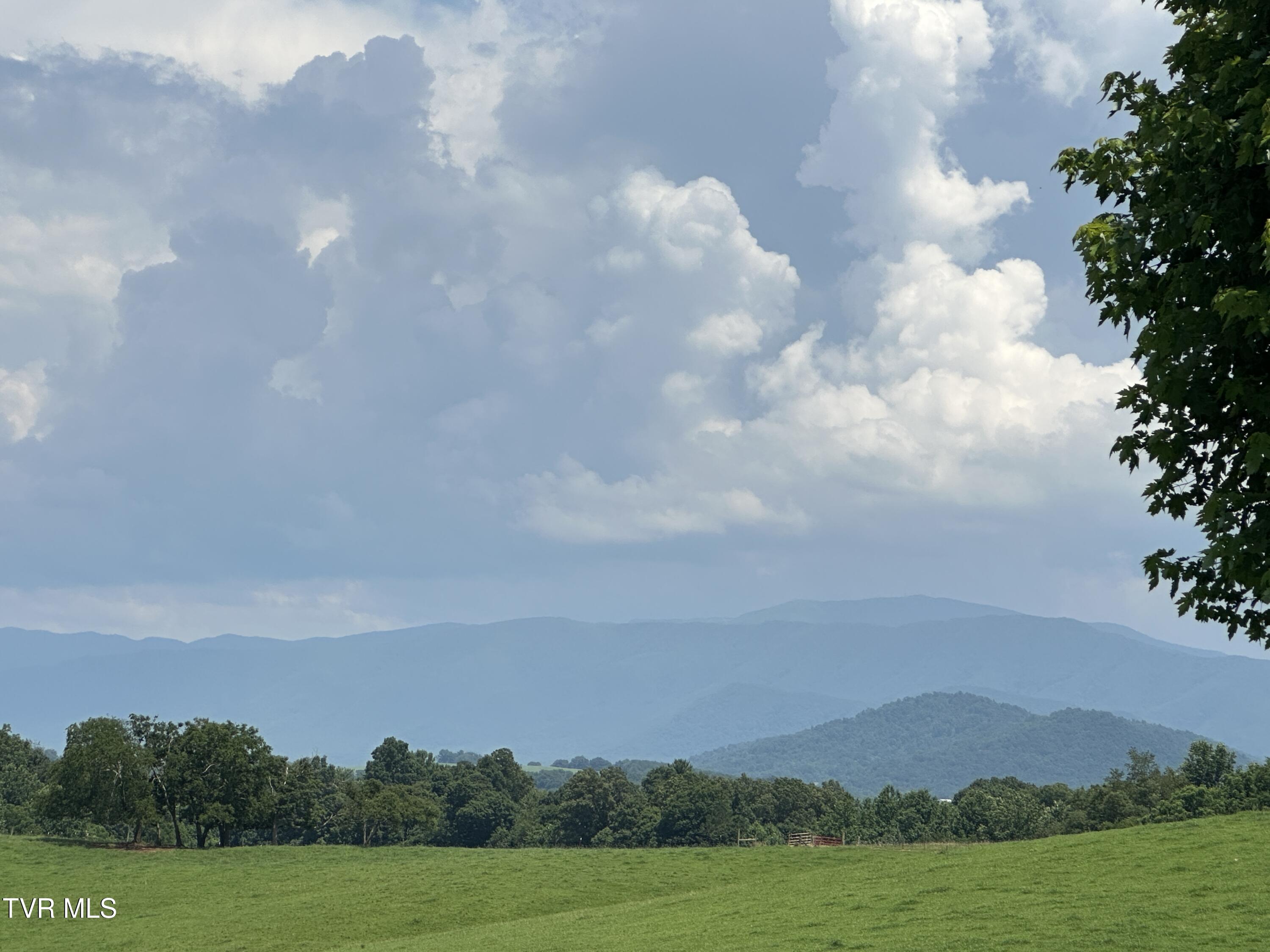 3655 West Allens Bridge Road, Unit 12 Greeneville, TN 37743 - Photo 35 of 42 IMG_7870