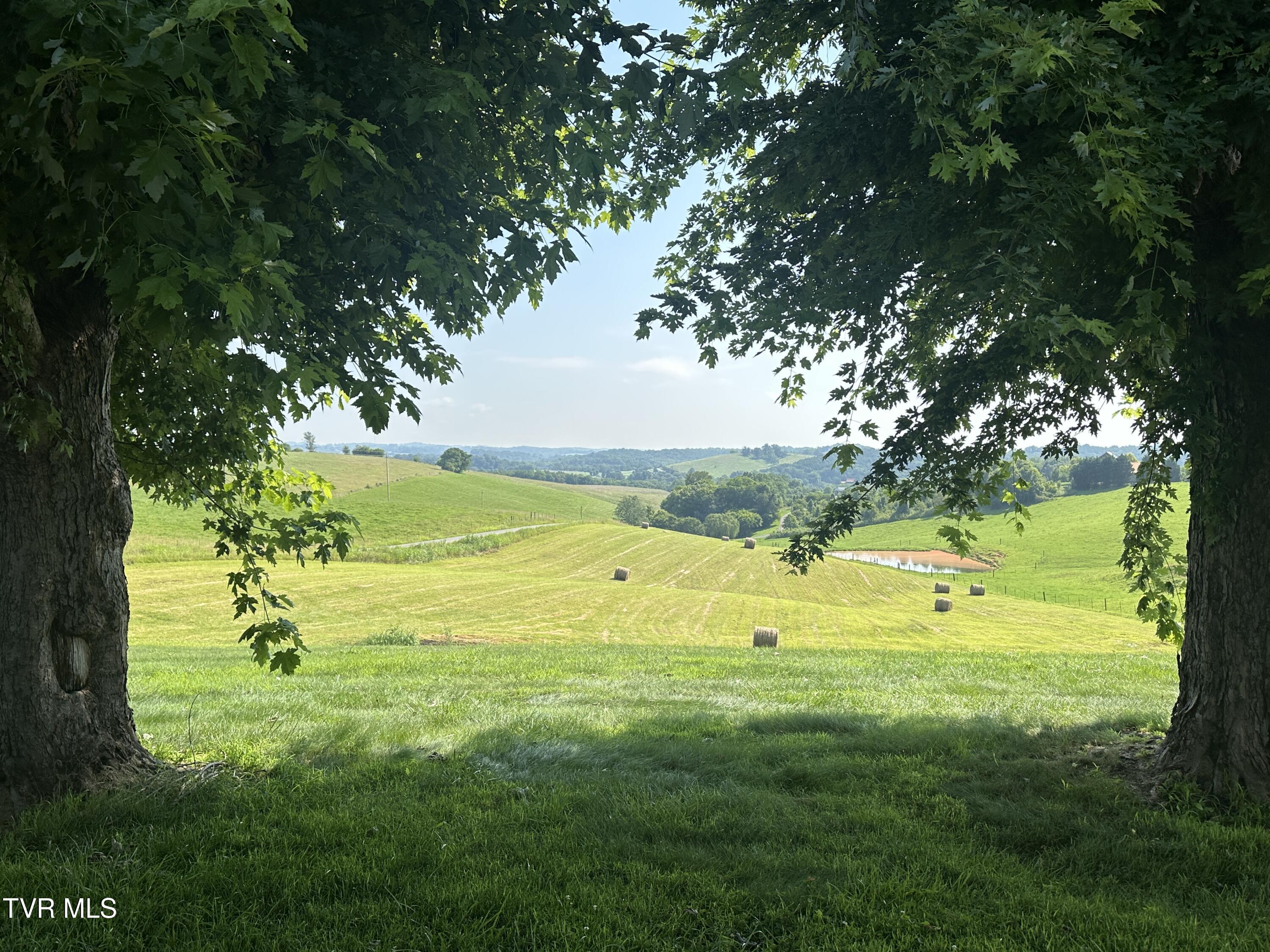 3655 West Allens Bridge Road, Unit 12 Greeneville, TN 37743 - Photo 37 of 42 IMG_7850