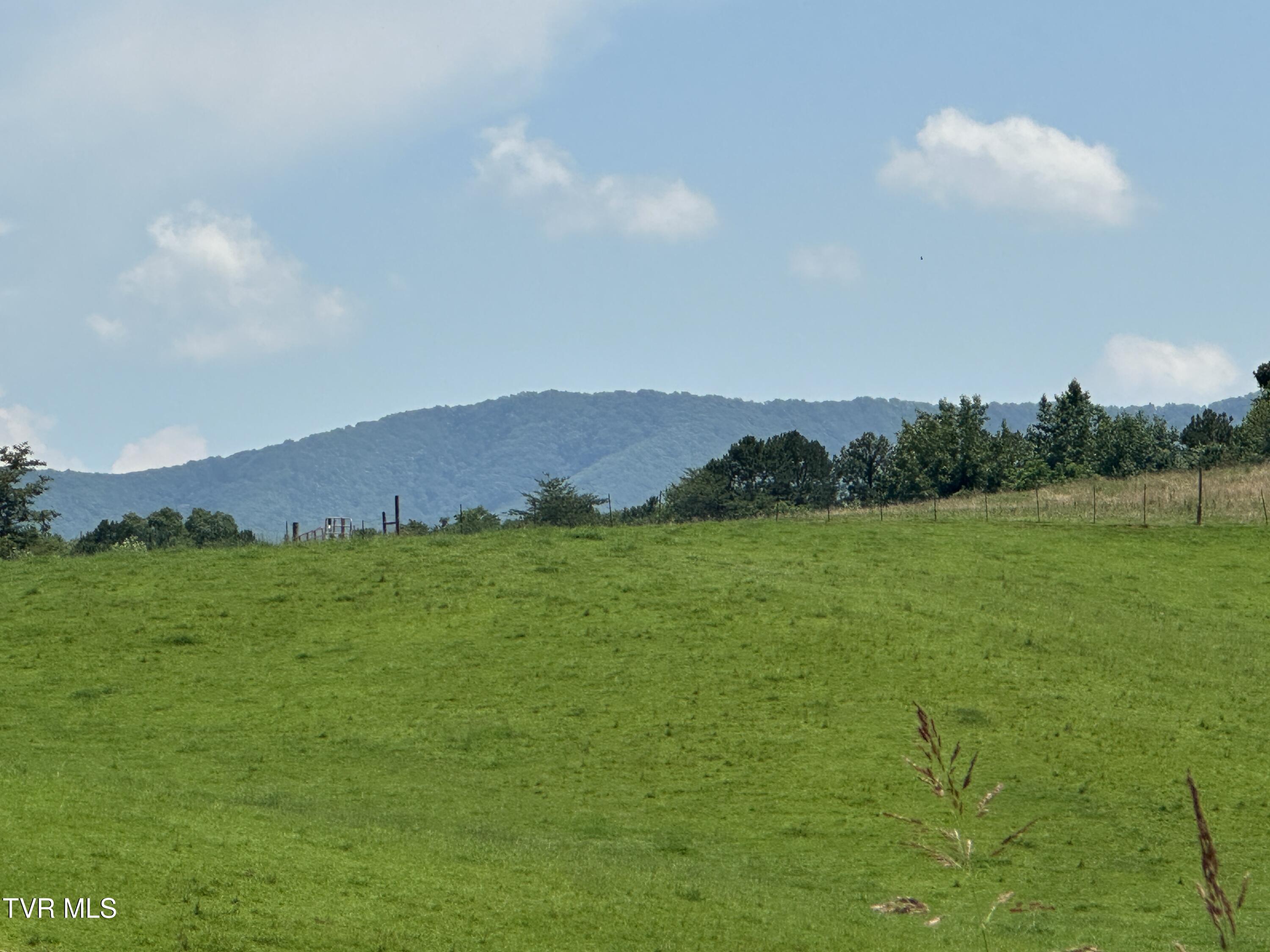 3655 West Allens Bridge Road, Unit 12 Greeneville, TN 37743 - Photo 38 of 42 IMG_7862