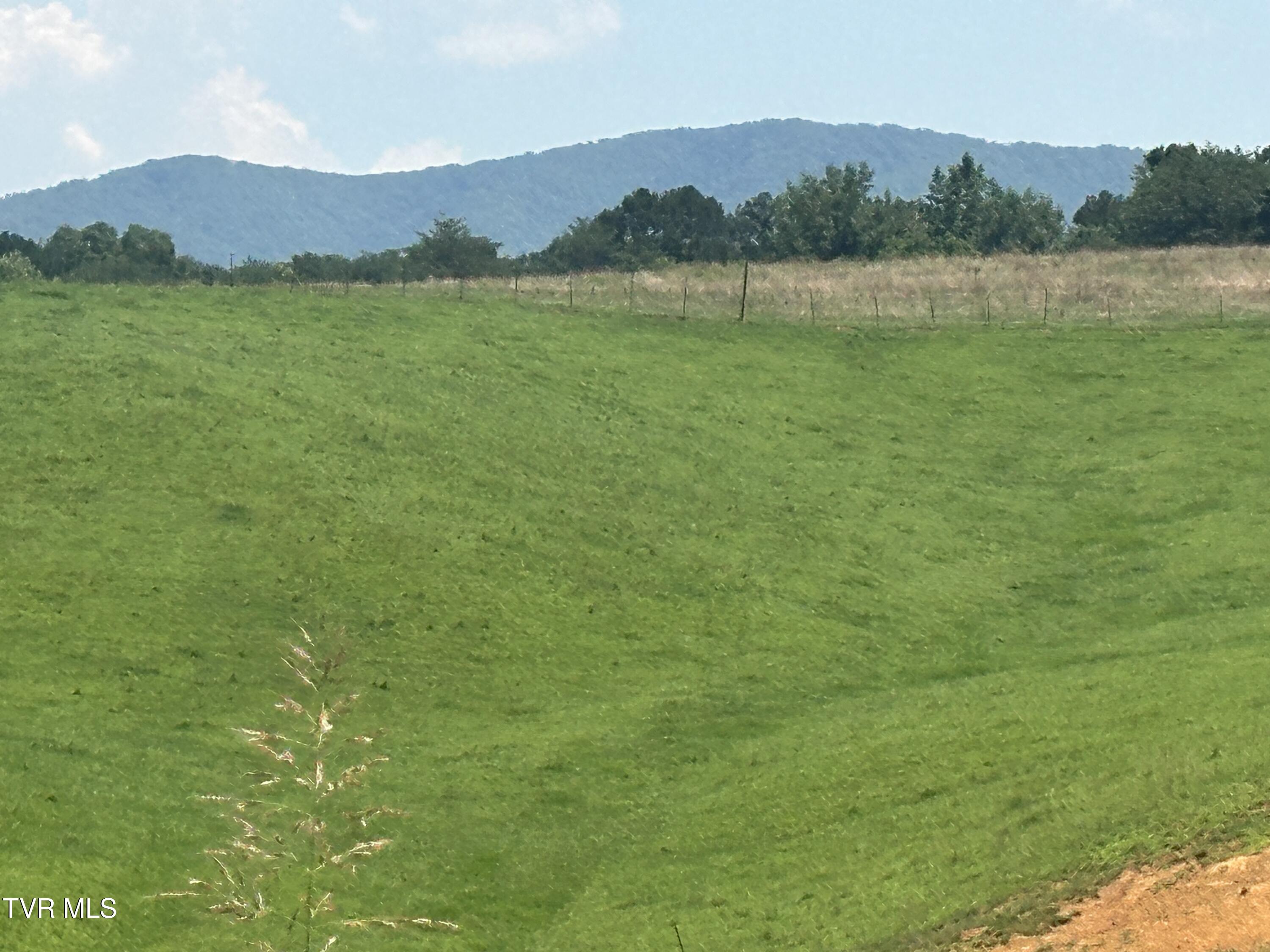 3655 West Allens Bridge Road, Unit 12 Greeneville, TN 37743 - Photo 39 of 42 IMG_7863