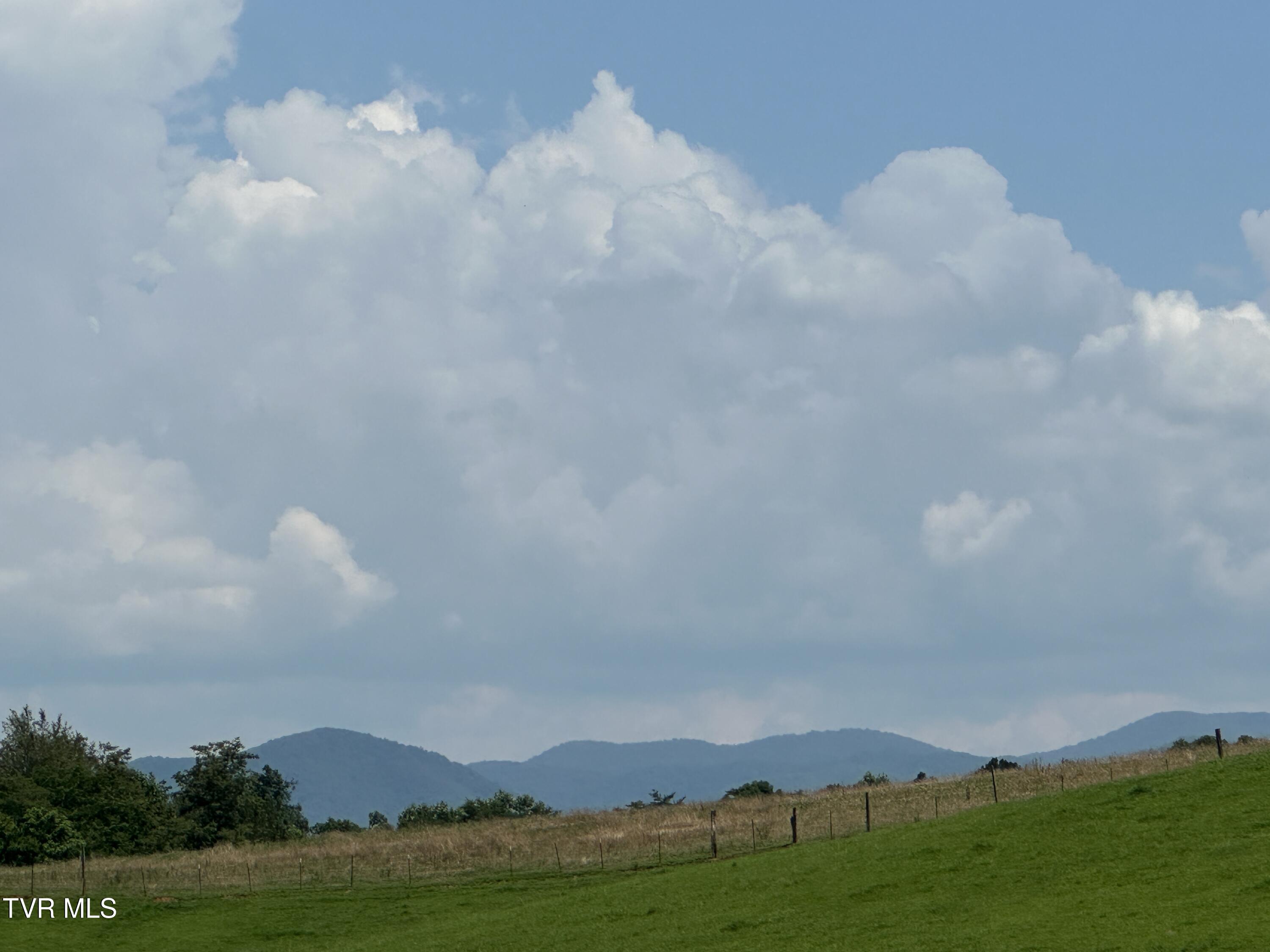 3655 West Allens Bridge Road, Unit 12 Greeneville, TN 37743 - Photo 41 of 42 IMG_7867