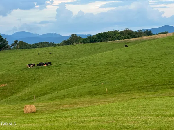 $1,700 | 3655 West Allens Bridge Road, Unit 12, Greeneville, TN 37743