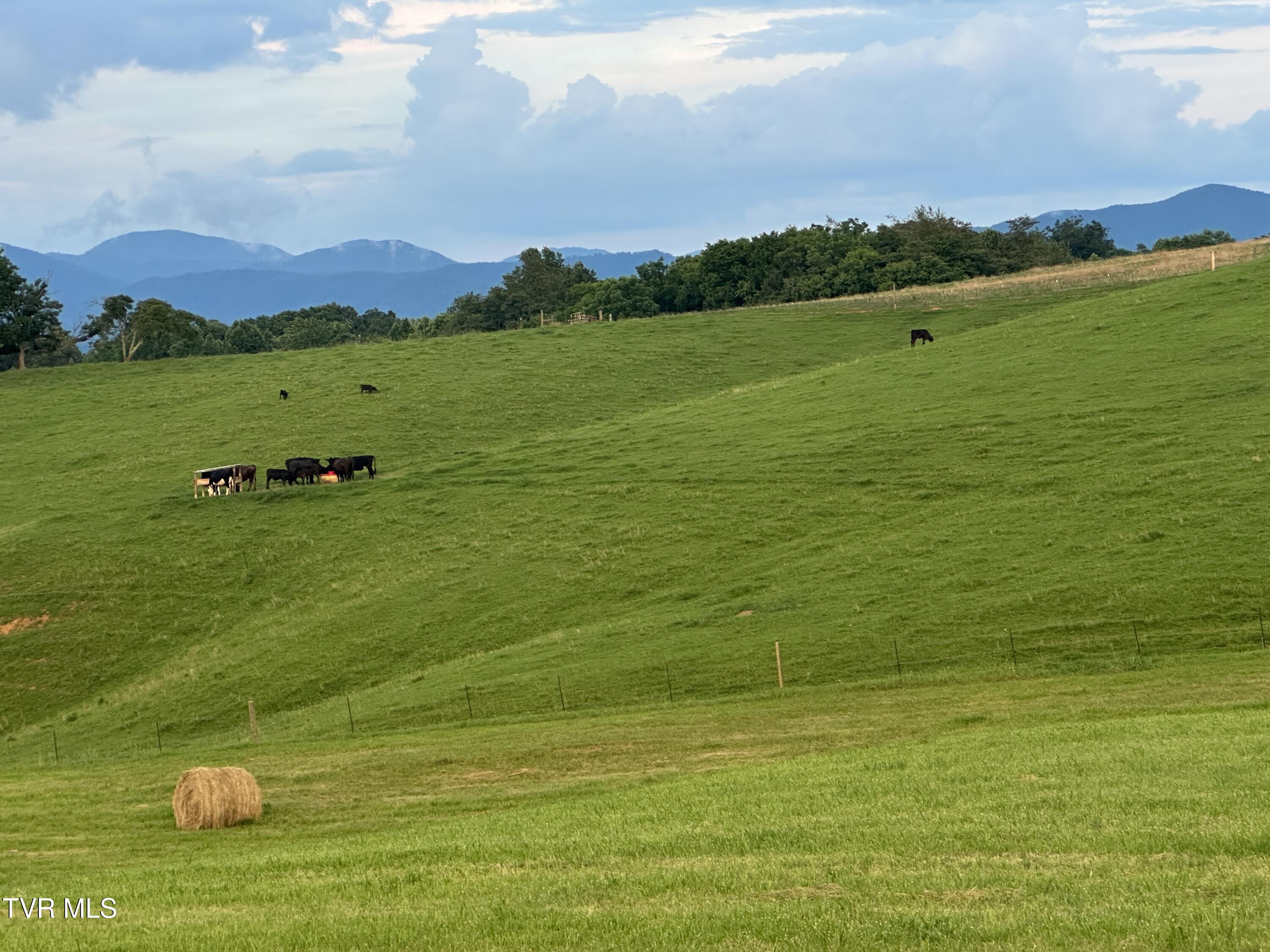 3655 West Allens Bridge Road, Unit 12 Greeneville, TN 37743 - Photo 42 of 42 IMG_7922