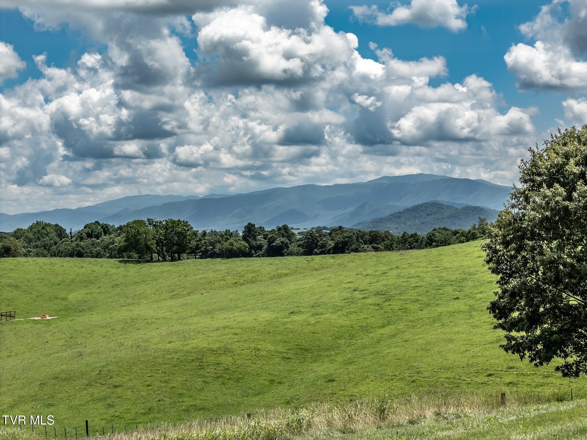 3655 West Allens Bridge Road, Unit 12 Greeneville, TN 37743 - Photo 6 of 42 thumbnail_3655WAllensBridgeG_095