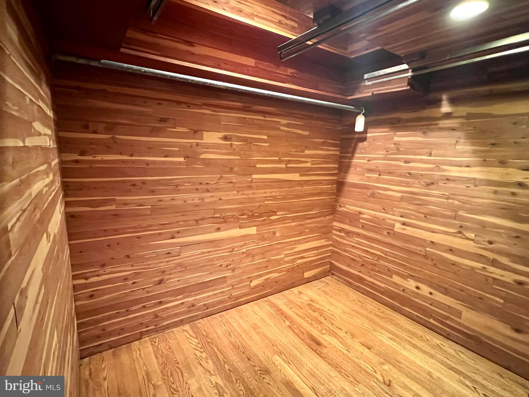 9218 Colesville Road Silver Spring, MD 20910 - Photo 74 of 76 Cedar closet for winter storage